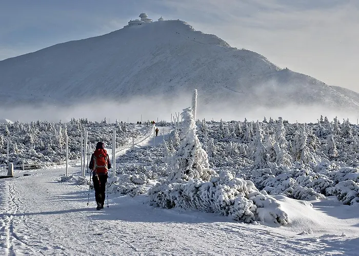 Goralska Osada - Lux Chalet