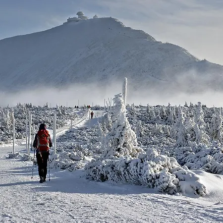 Góralska Osada - Lux Domek alpejski